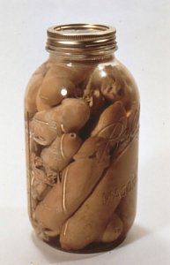 Men I Have Known by Mary Ellen Croteau 